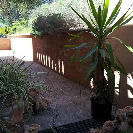 Agroturisme Es Picot Son Macia  Room photo